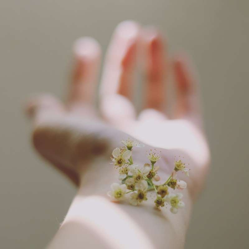 La naturopathie est une solution naturelle contre les troubles de la peau.